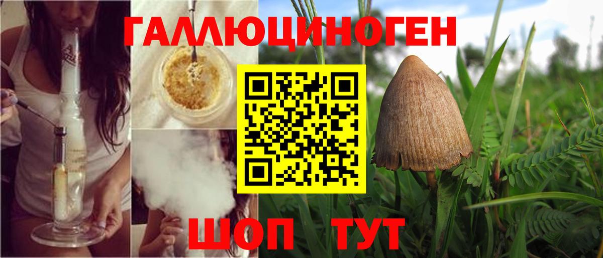 Псилоцибиновые грибы Cubensis  наркота  Борзя  Вход с VPN 